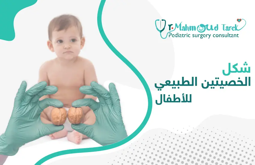 شكل الخصيتين الطبيعي للأطفال